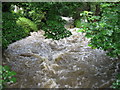 Afon Wen ar ?l storm fellt a tharannau - Afon Wen after a thunderstorm