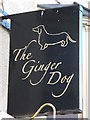 Sign for The Ginger Dog, College Place / Clarendon Place, BN2