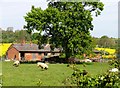 Rural scene at Little Stretton