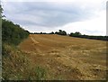 Field by Leicester Road