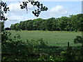 TL1791 : Farmland near Yaxley by JThomas