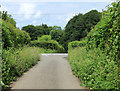 2012 : Northern end of Nedge Lane on the Mendips