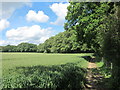 Footpath by Pellingford Brook