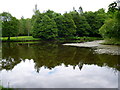 N7897 : â€œLadyâ€™s Lakeâ€� in Dun na Ri Forest Park by D Gore