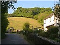 Lane at Old Walls