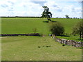 Field edge bridleway