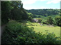 Pencraig from further up the lane