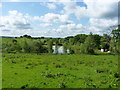 Pools in the valley behind Stile House Farm