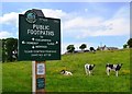 Junction of paths and calves in Flagg