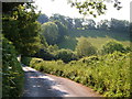 SX6988 : Lane near Murchington by Derek Harper