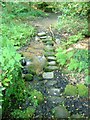 Stepping stones near Murchington