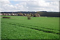 Wye across a sea of wheat