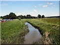 TQ7825 : River Rother viewed from Bodiam Bridge by Paul Gillett