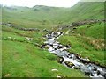 NY4414 : Rampsgill Beck, Ramps Gill by Christine Johnstone