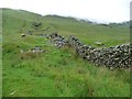NY4414 : Drystone wall in Ramps Gill by Christine Johnstone