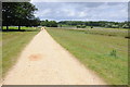 TQ2072 : Path through Richmond Park by Philip Halling