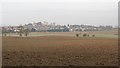 A ploughed field by Gartarry Wood