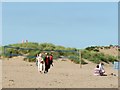 Sand Dunes at Instow