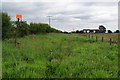 Footpath to Moss Side Farm