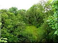 Disused railway line, Tully