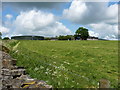 Dunlea Farm outbuildings and silage store