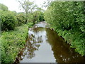 Afon Tarell upstream from Pont-ar-darell Bridge, Brecon