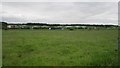 Grass field, Blackford