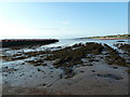 NU0052 : Rocky foreshore southwest of the Pier, Berwick-Upon-Tweed by Alexander P Kapp
