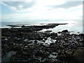 NU0152 : Rocky foreshore north of the Pier, Berwick-Upon-Tweed by Alexander P Kapp