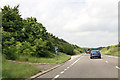 A16 north layby by Coxey Hills