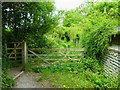 Gate on footpath west of Nepcote