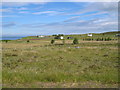 Port Henderson crofting community