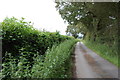 Track from Tile Lodge Farm, Magham down