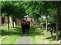 Avenue of trees leading to church, Southam