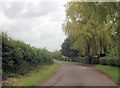 Catskin lane at Risby Manor Cottages