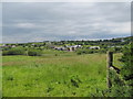 View westwards over pasture land towards houses on Shean Road