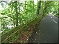 Road beside River Coquet