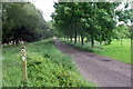 Mill Lane along the golf course edge