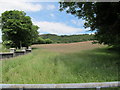 View across farm land towards the forested Tievecrom Mountain