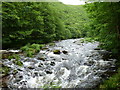 East Lyn river upstream of Myrtleberry