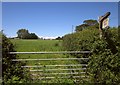 Towards Ashdown Farm