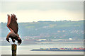 Peregrine sculpture, Belfast Castle