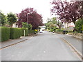 Cliffe Avenue - looking towards Stoney Lane