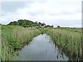 The Skirts, Cley Marshes Nature Reserve