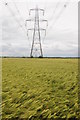 Pylons and a barley field