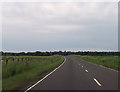 Road through Brocklesby Park