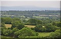 North Devon : Green Countryside Surroundings