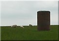 NU1010 : Sheep in pasture beside Air Shaft by Russel Wills