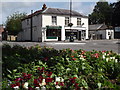 The Square, Liphook