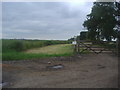 TR0199 : The entrance to Bridgewick farm by David Howard